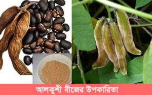 আলকুশি বীজের উপকারিতা কি