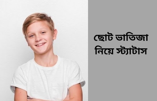 ছোট ভাতিজা নিয়ে স্ট্যাটাস