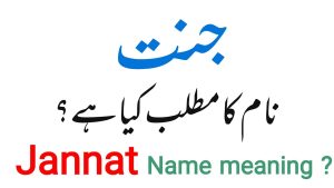 জান্নাত নামের অর্থ কি
