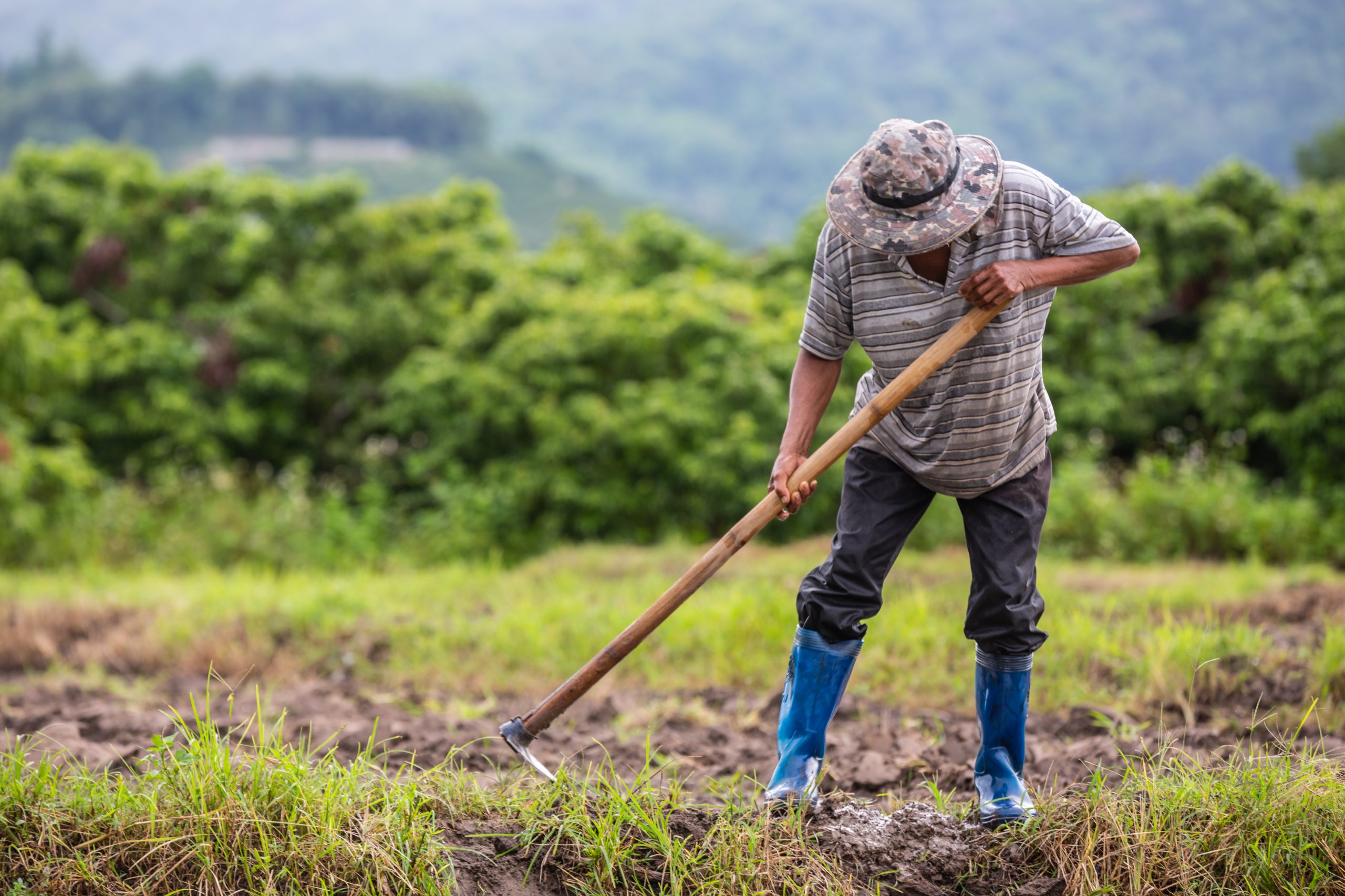 the life of a farmer paragraph