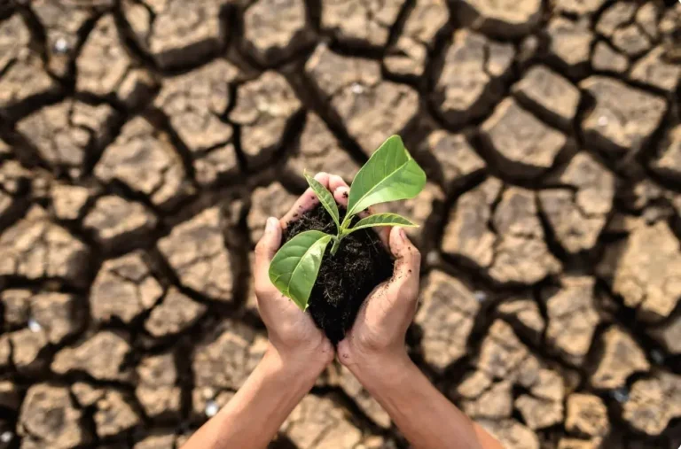 climate change paragraph for hsc