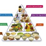 food pyramid paragraph